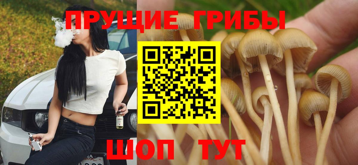 Псилоцибиновые грибы GOLDEN TEACHER  Вход с VPN  дарнет шоп  Псилоцибиновые грибы Magic Shrooms  Нефтеюганск 